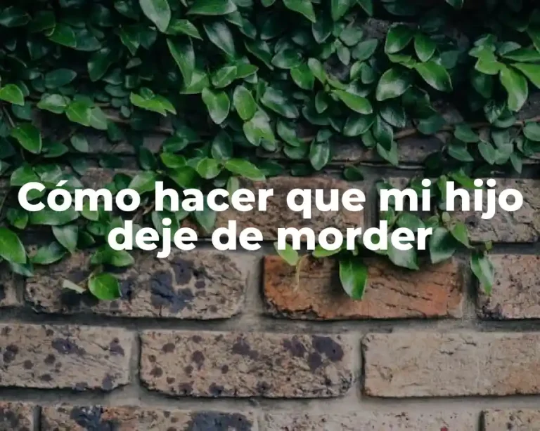 Cómo hacer que mi hijo deje de morder