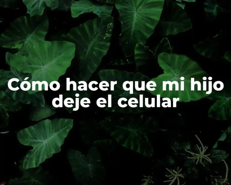 Cómo hacer que mi hijo deje el celular