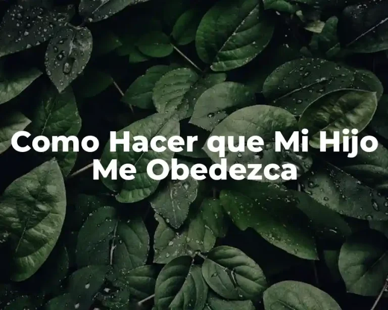 Como Hacer que Mi Hijo Me Obedezca