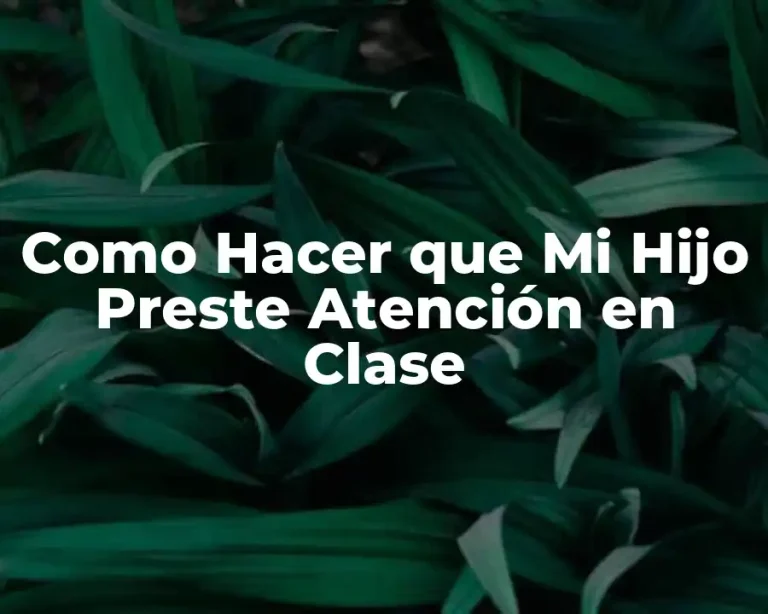 Como Hacer que Mi Hijo Preste Atención en Clase