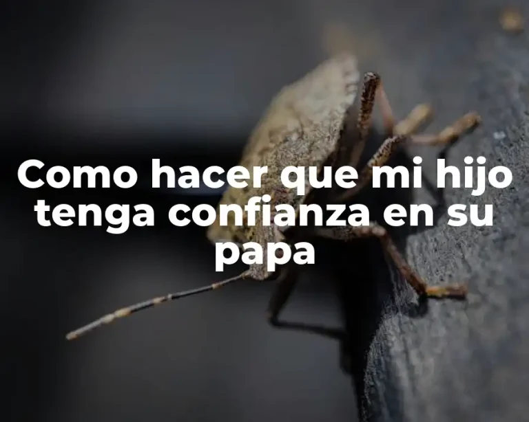 Como hacer que mi hijo tenga confianza en su papa