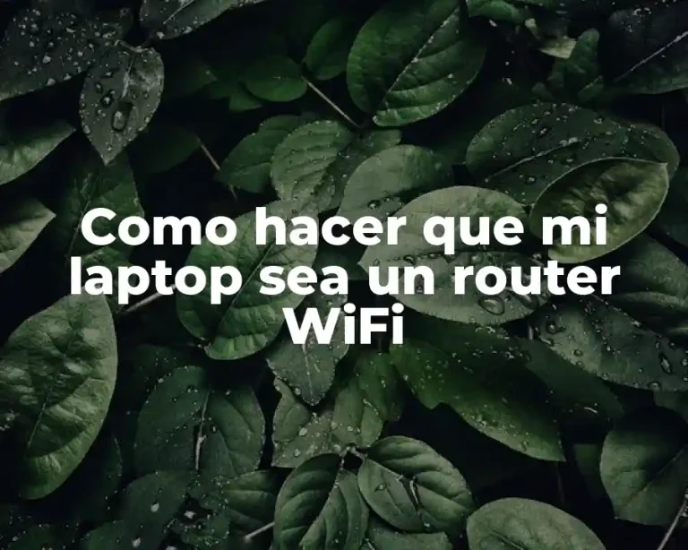 Como hacer que mi laptop sea un router WiFi