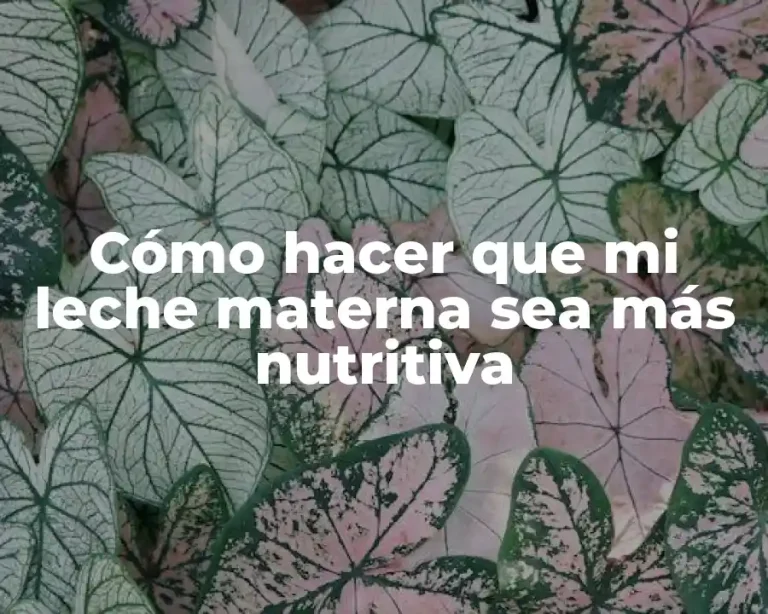 Cómo hacer que mi leche materna sea más nutritiva