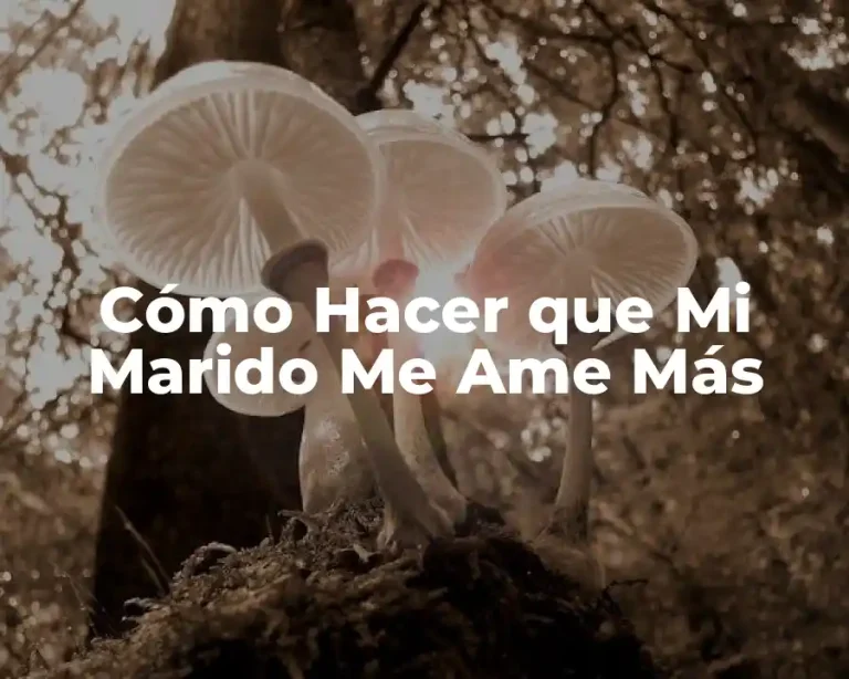 Cómo Hacer que Mi Marido Me Ame Más
