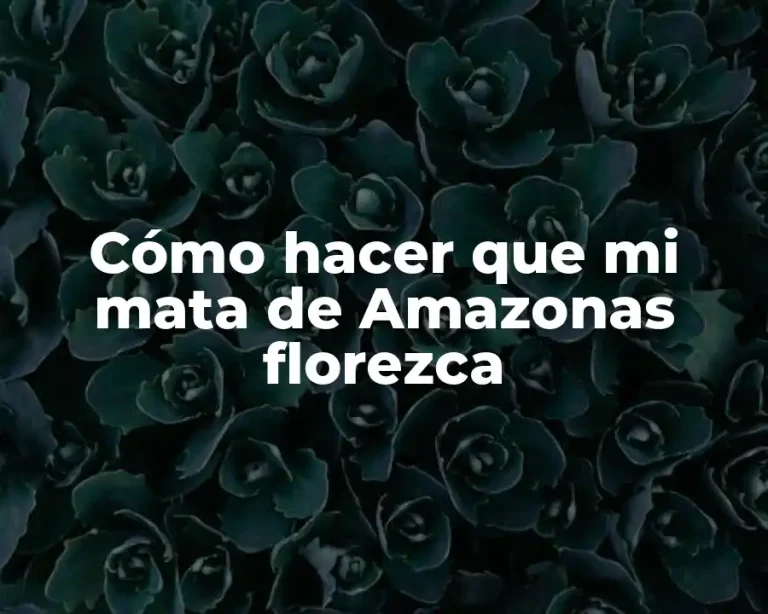 Cómo hacer que mi mata de Amazonas florezca