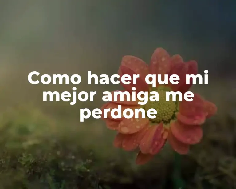 Como hacer que mi mejor amiga me perdone
