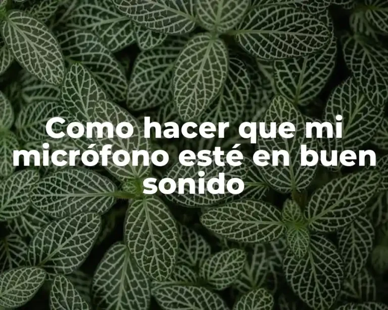 Como hacer que mi micrófono esté en buen sonido