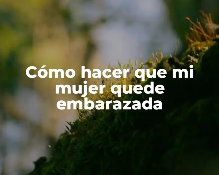 Cómo hacer que mi mujer quede embarazada