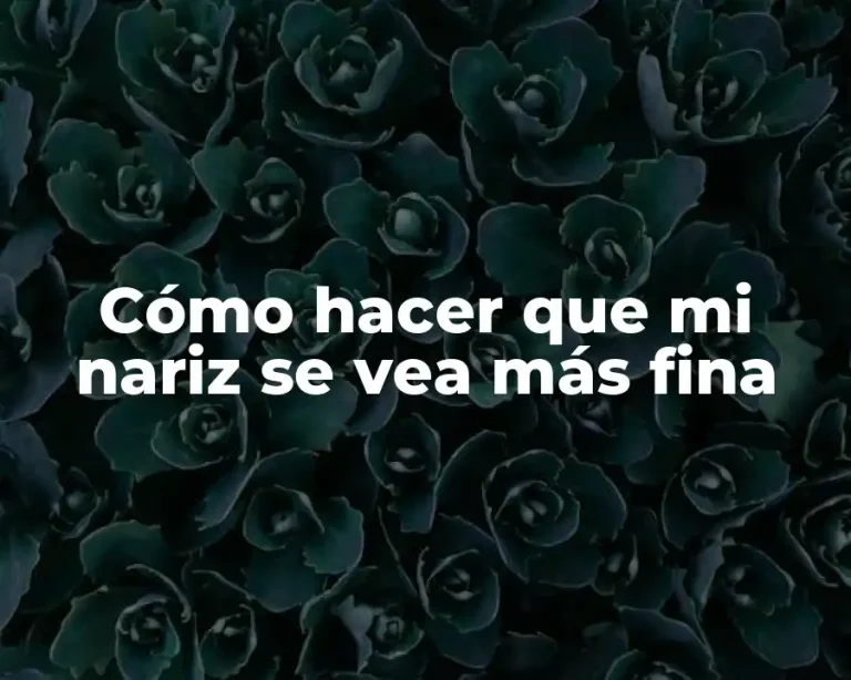 Cómo hacer que mi nariz se vea más fina