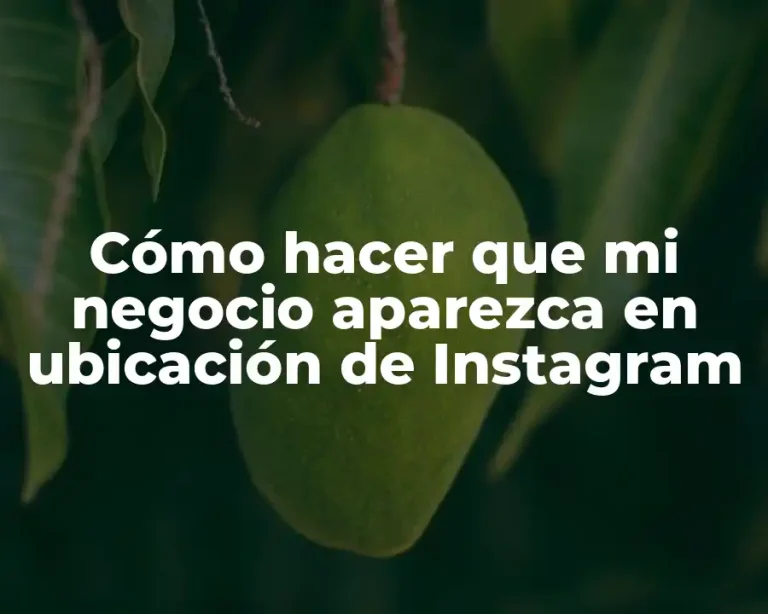 Cómo hacer que mi negocio aparezca en ubicación de Instagram
