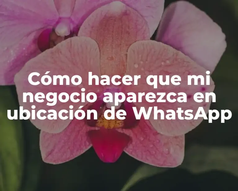 Cómo hacer que mi negocio aparezca en ubicación de WhatsApp