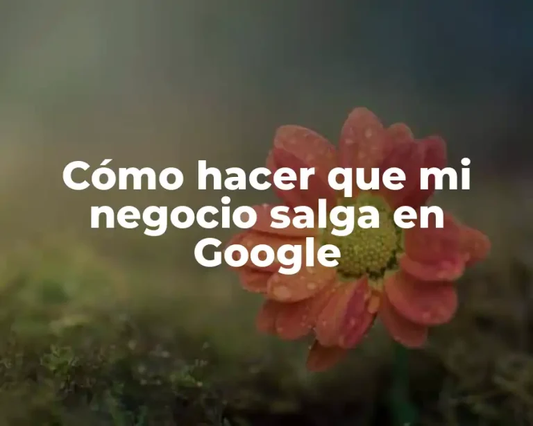 Cómo hacer que mi negocio salga en Google