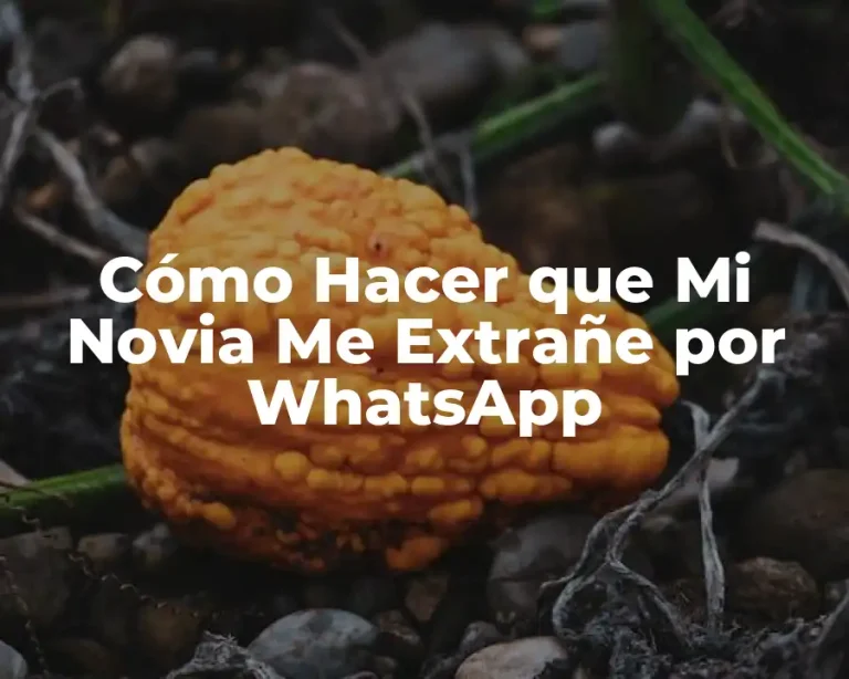 Cómo Hacer que Mi Novia Me Extrañe por WhatsApp