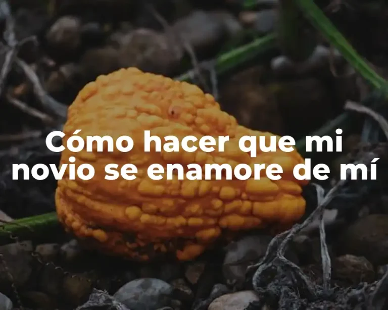 Cómo hacer que mi novio se enamore de mí