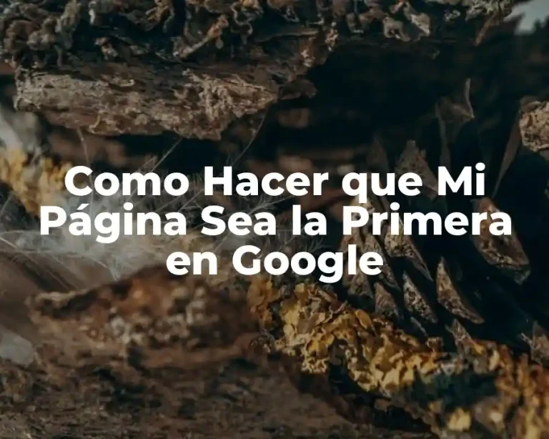 Como Hacer que Mi Página Sea la Primera en Google