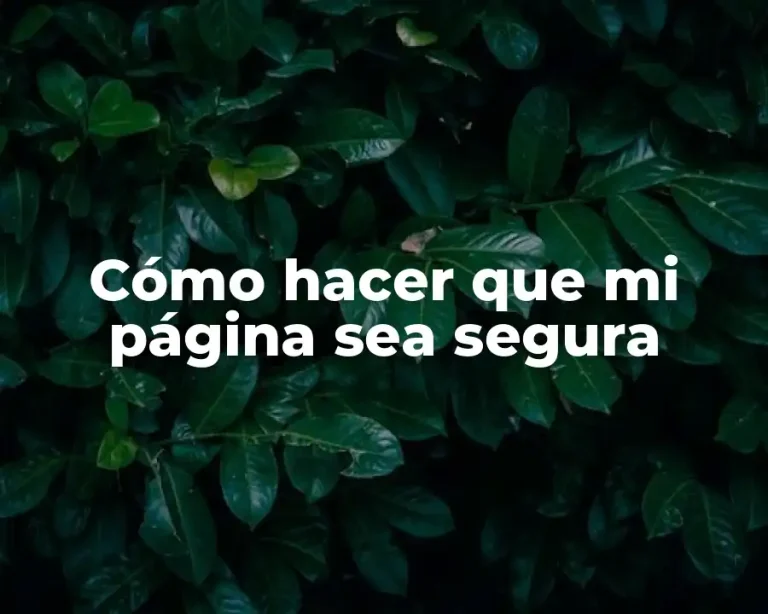 Cómo hacer que mi página sea segura