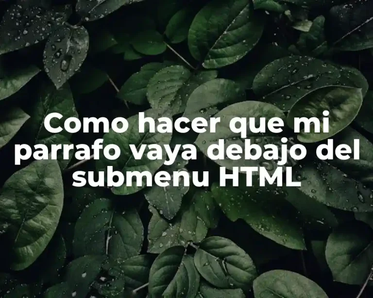 Como hacer que mi parrafo vaya debajo del submenu HTML