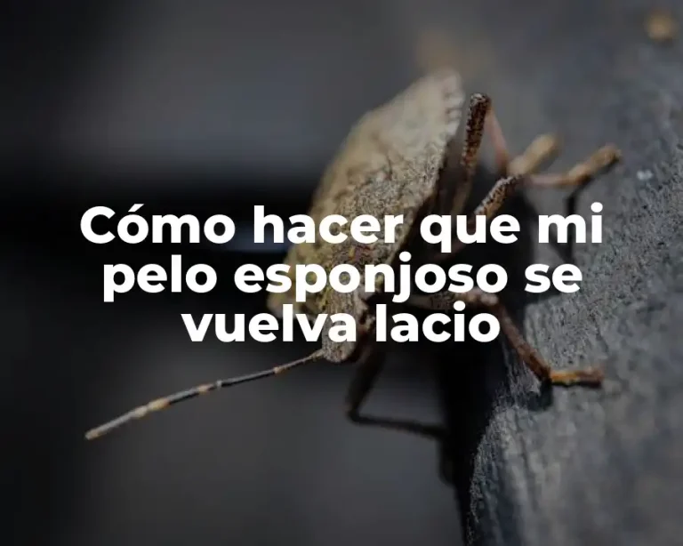 Cómo hacer que mi pelo esponjoso se vuelva lacio