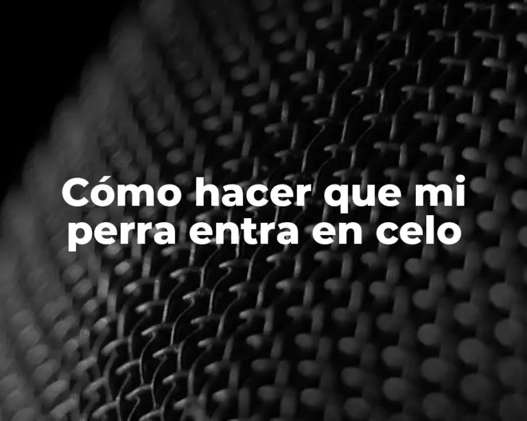 Cómo hacer que mi perra entra en celo