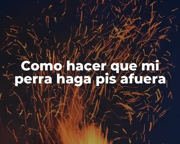 Como hacer que mi perra haga pis afuera