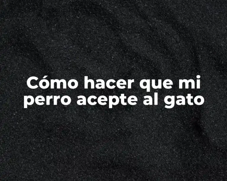 Cómo hacer que mi perro acepte al gato
