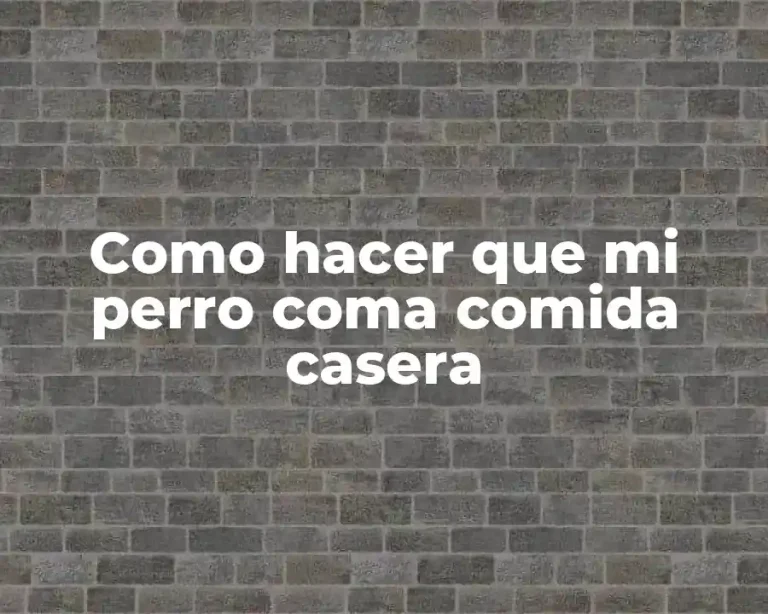 Como hacer que mi perro coma comida casera