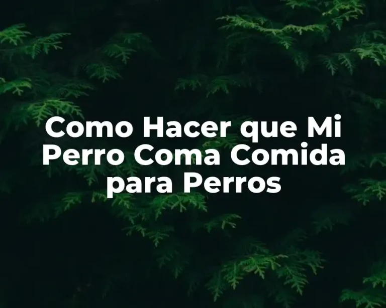 Como Hacer que Mi Perro Coma Comida para Perros