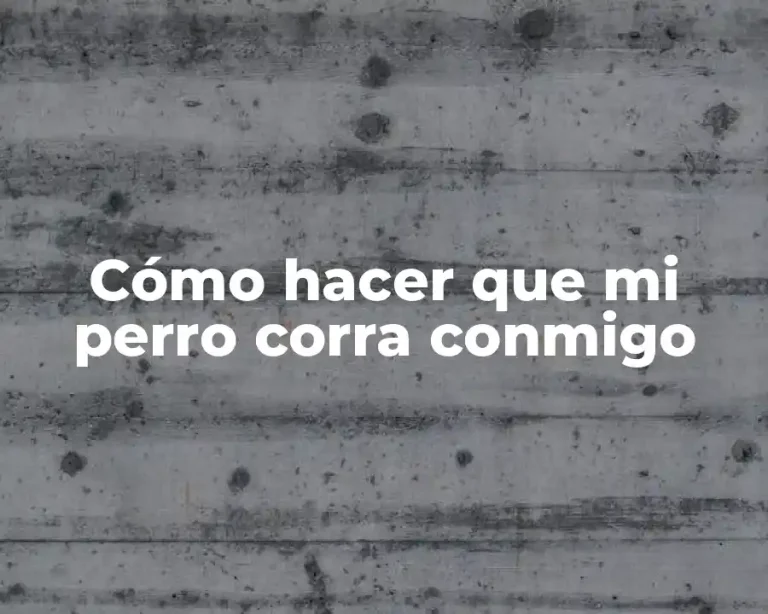 Cómo hacer que mi perro corra conmigo