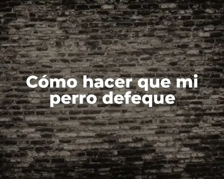 Cómo hacer que mi perro defeque