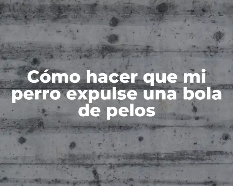 Cómo hacer que mi perro expulse una bola de pelos