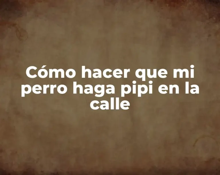 Cómo hacer que mi perro haga pipi en la calle