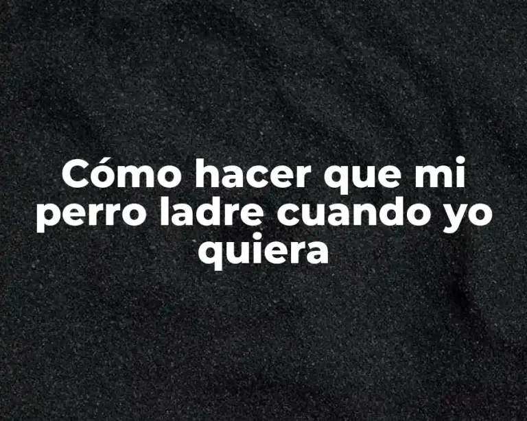 Cómo hacer que mi perro ladre cuando yo quiera