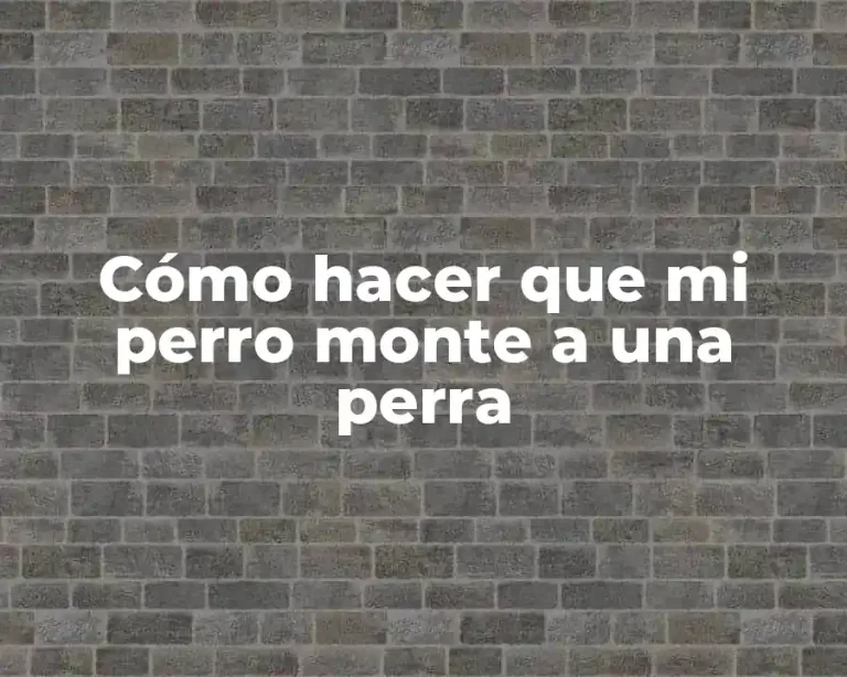 Cómo hacer que mi perro monte a una perra