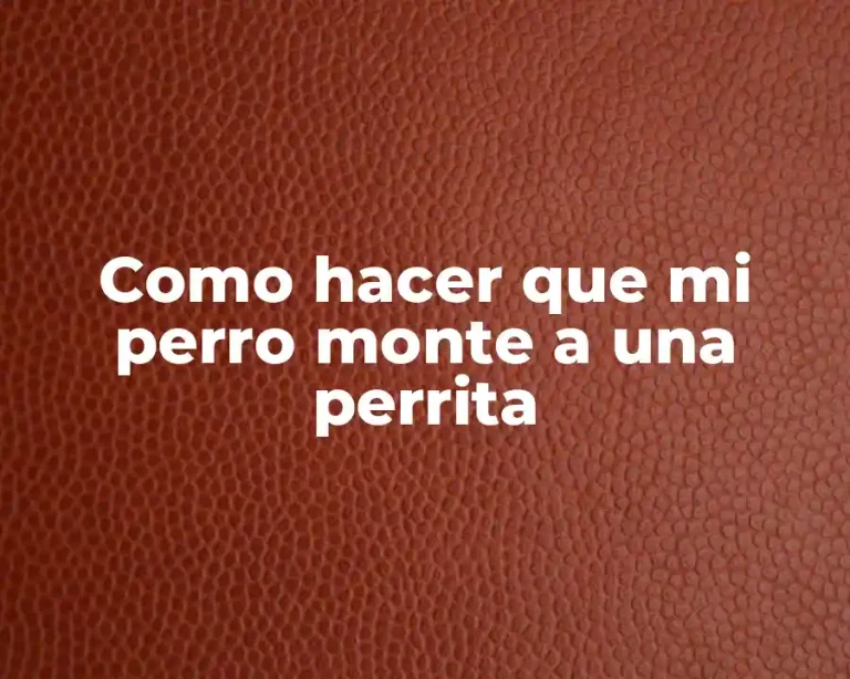 Como hacer que mi perro monte a una perrita