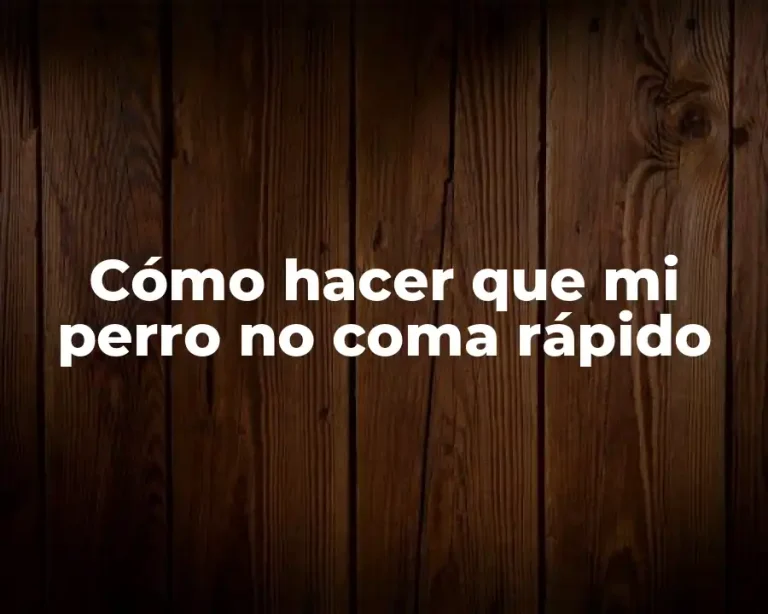 Cómo hacer que mi perro no coma rápido