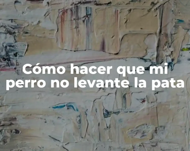 Cómo hacer que mi perro no levante la pata