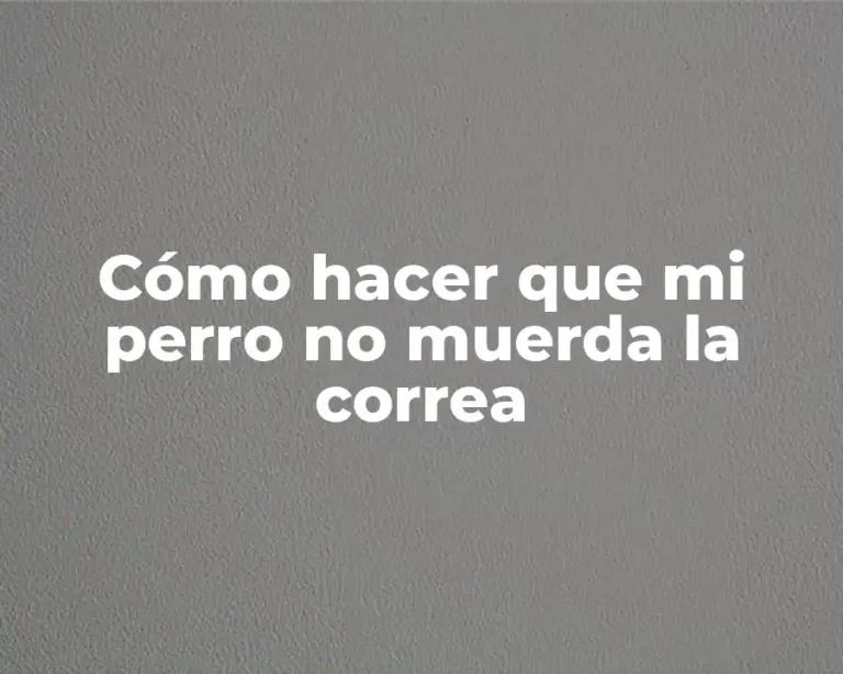 Cómo hacer que mi perro no muerda la correa