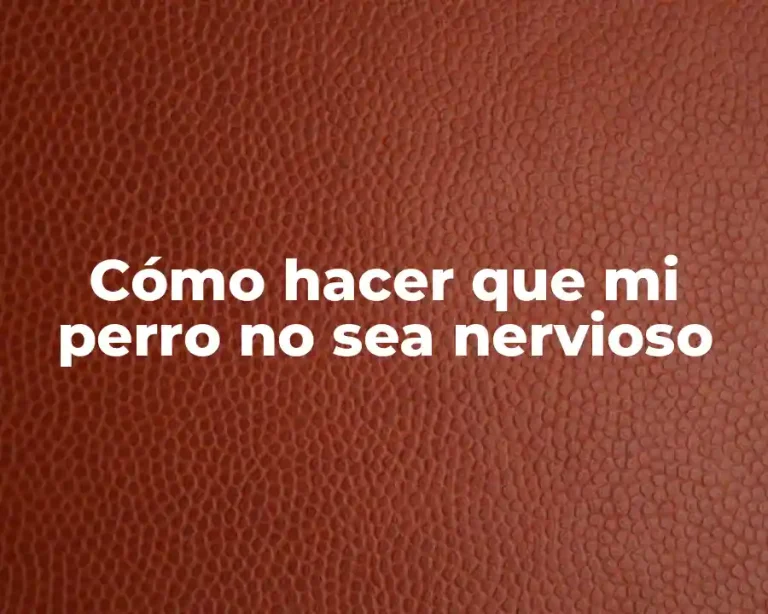 Cómo hacer que mi perro no sea nervioso