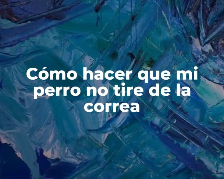 Cómo hacer que mi perro no tire de la correa