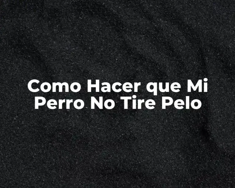 Como Hacer que Mi Perro No Tire Pelo