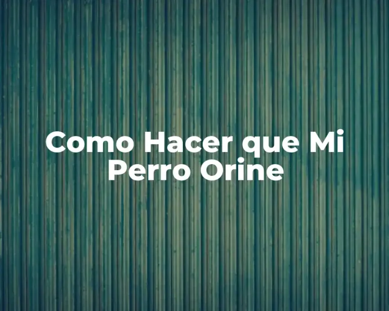Como Hacer que Mi Perro Orine