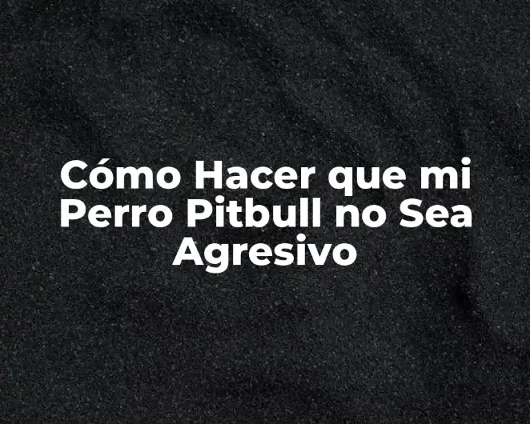 Cómo Hacer que mi Perro Pitbull no Sea Agresivo
