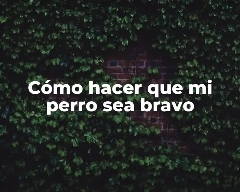 Cómo hacer que mi perro sea bravo