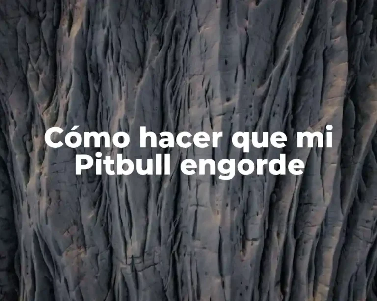 Cómo hacer que mi Pitbull engorde