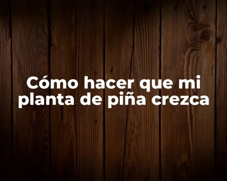 Cómo hacer que mi planta de piña crezca
