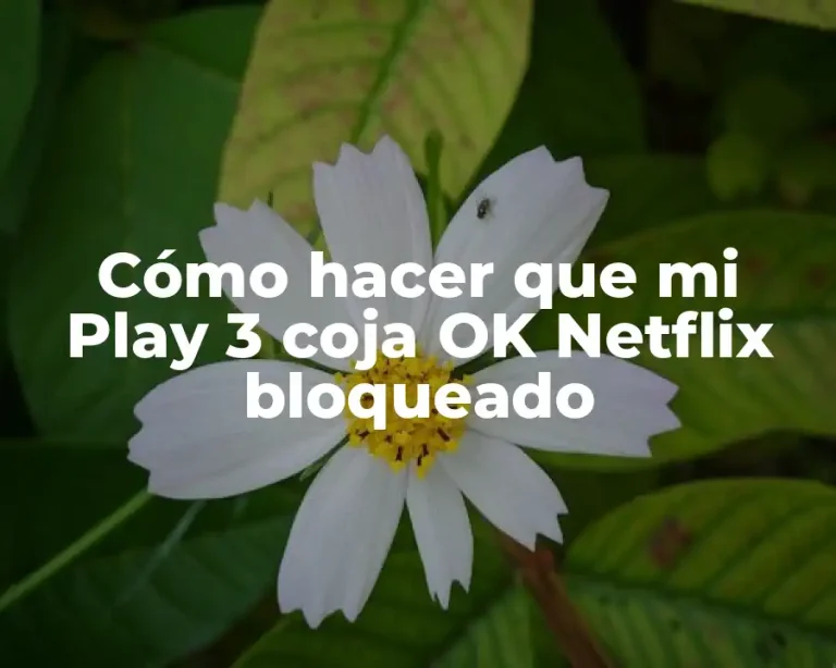 Cómo hacer que mi Play 3 coja OK Netflix bloqueado