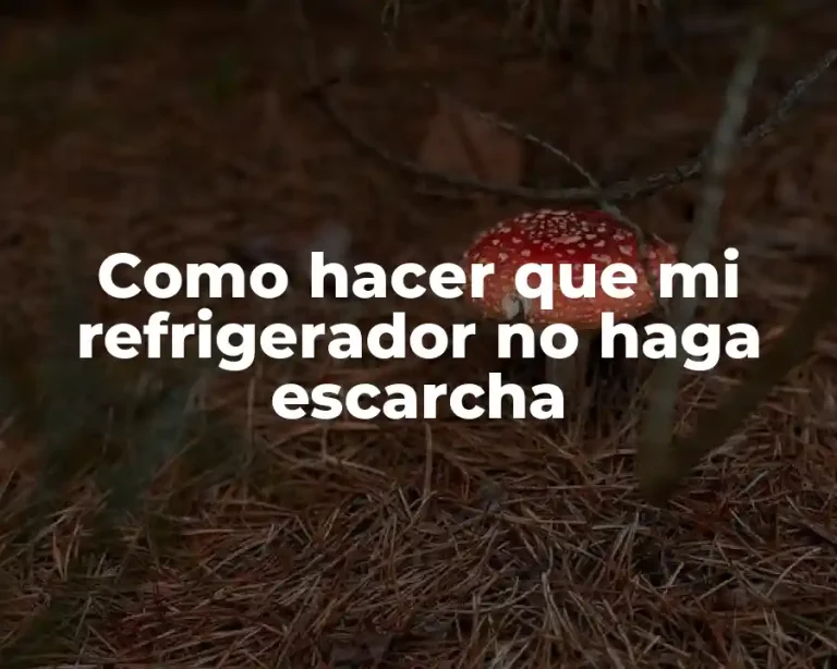 Como hacer que mi refrigerador no haga escarcha