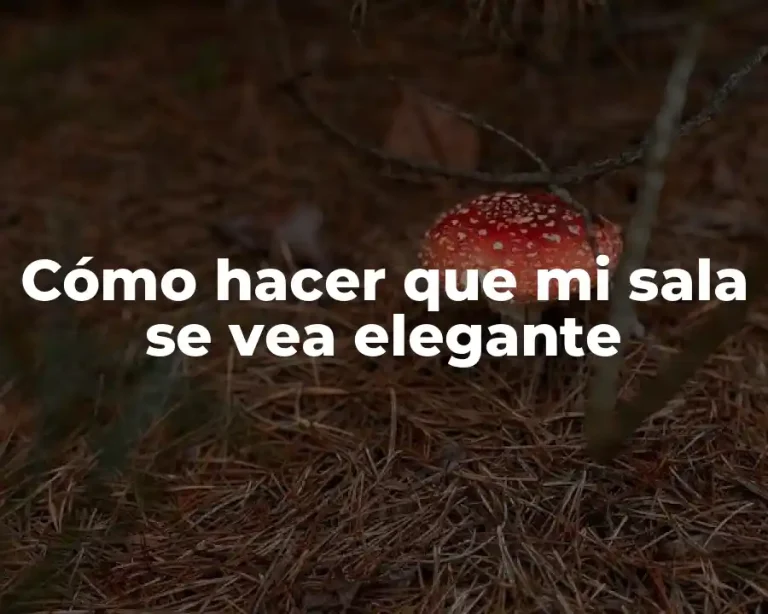 Cómo hacer que mi sala se vea elegante