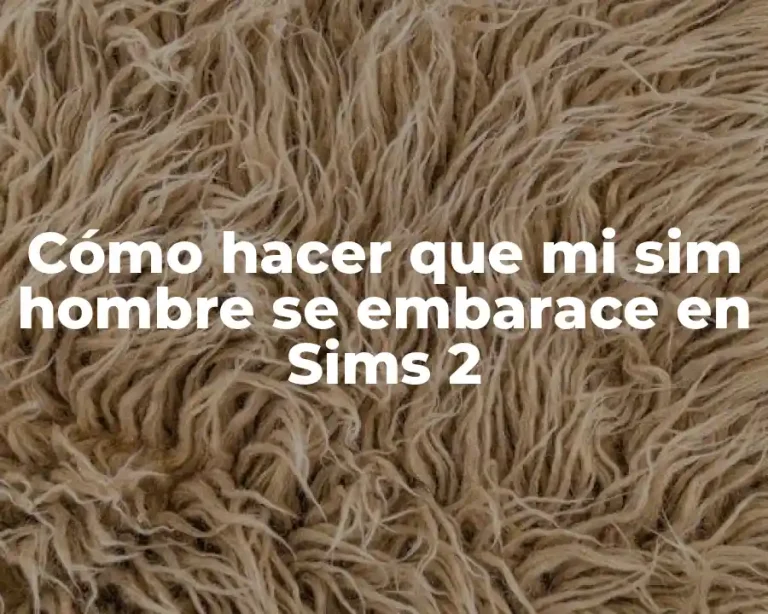 Cómo hacer que mi sim hombre se embarace en Sims 2