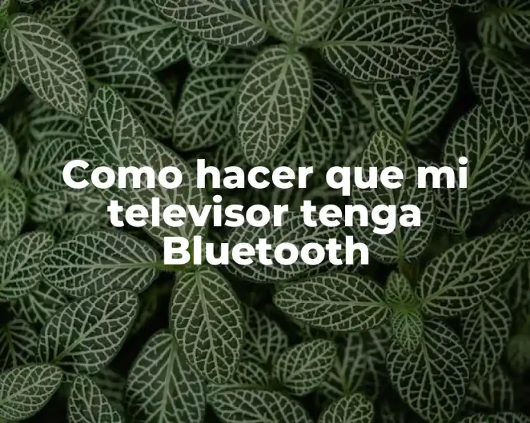 Como hacer que mi televisor tenga Bluetooth